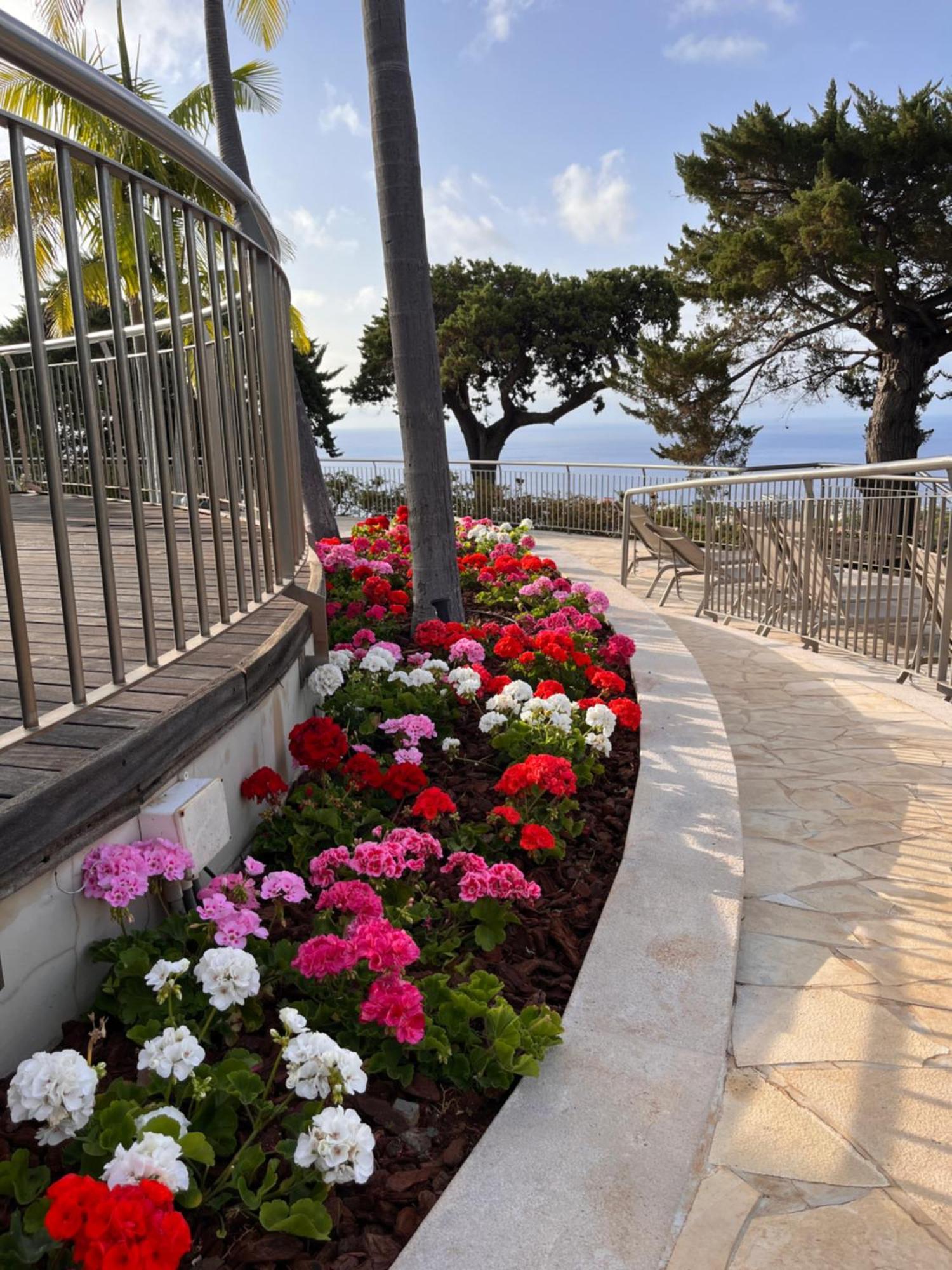 Quinta Funchal Gardens - Adults Only Hotel Exterior foto